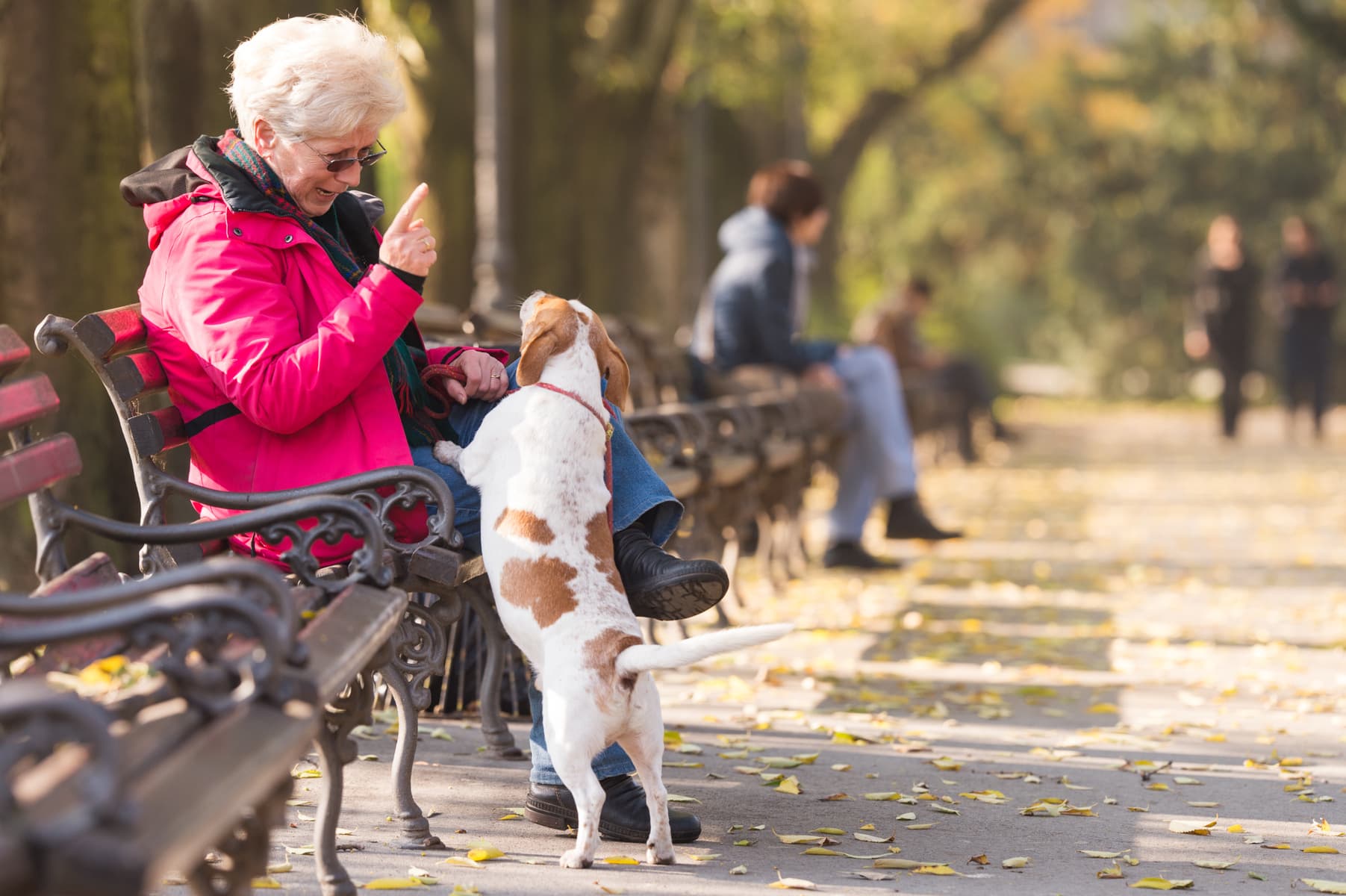 En gåva för Djurens rätt