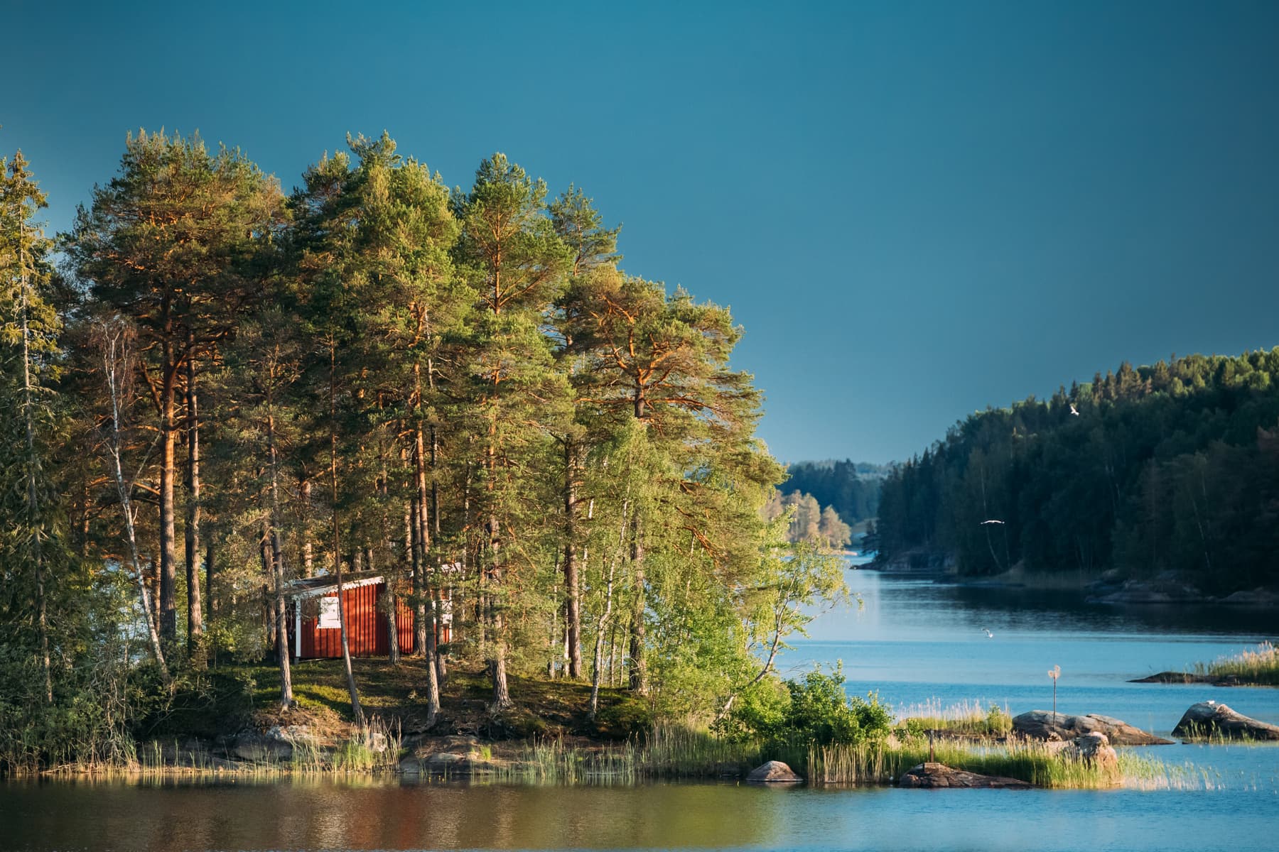 Vem får ärva sommarstugan – och hur undviker man konflikter mellan barnen?