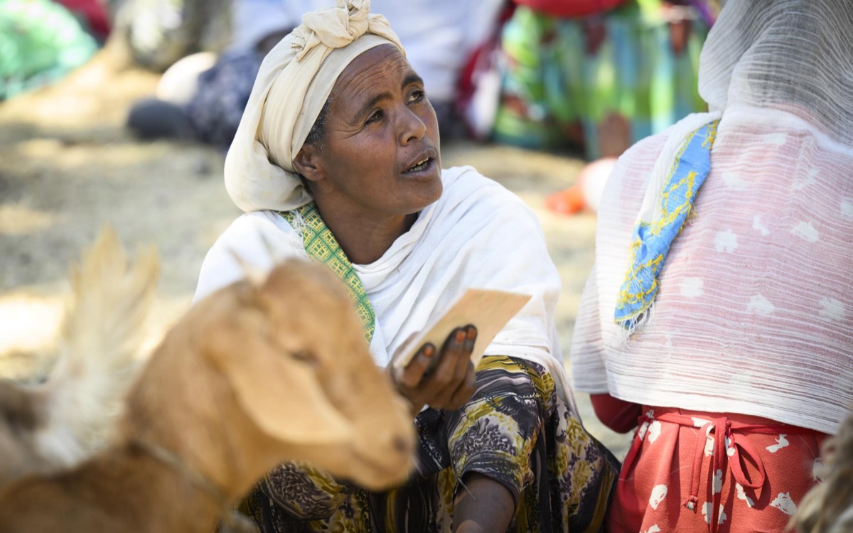 Granskad av Svensk Insamlingskontroll