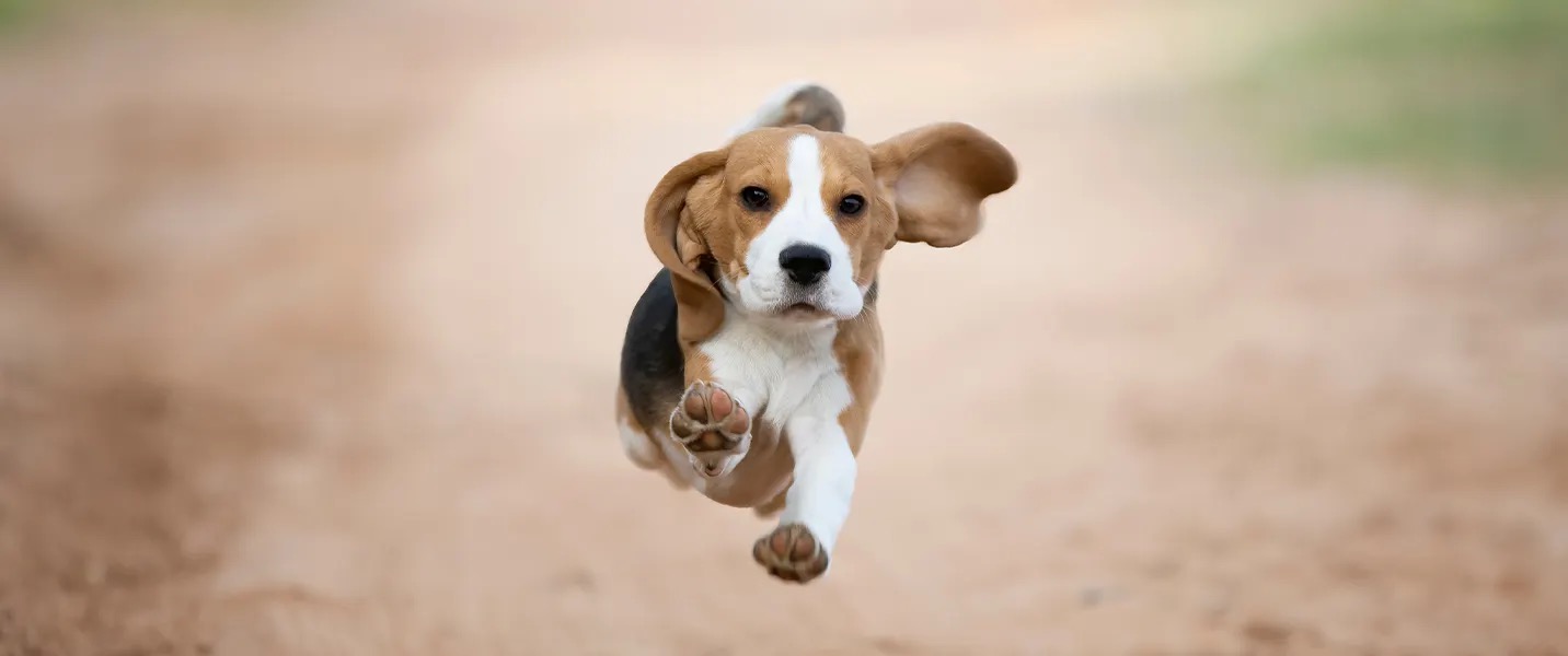 90-konto och Giva Sverige