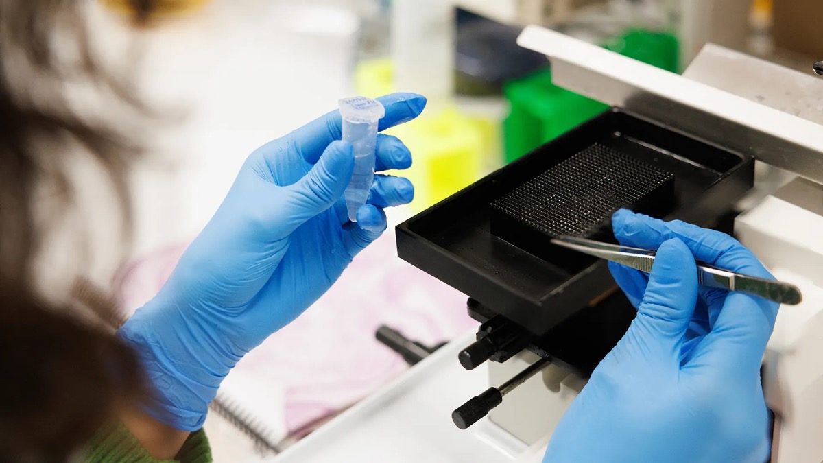 Resultat som går att följa