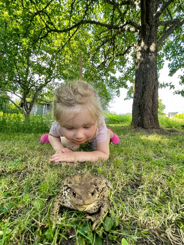 90-konto och Svensk Insamlingskontroll